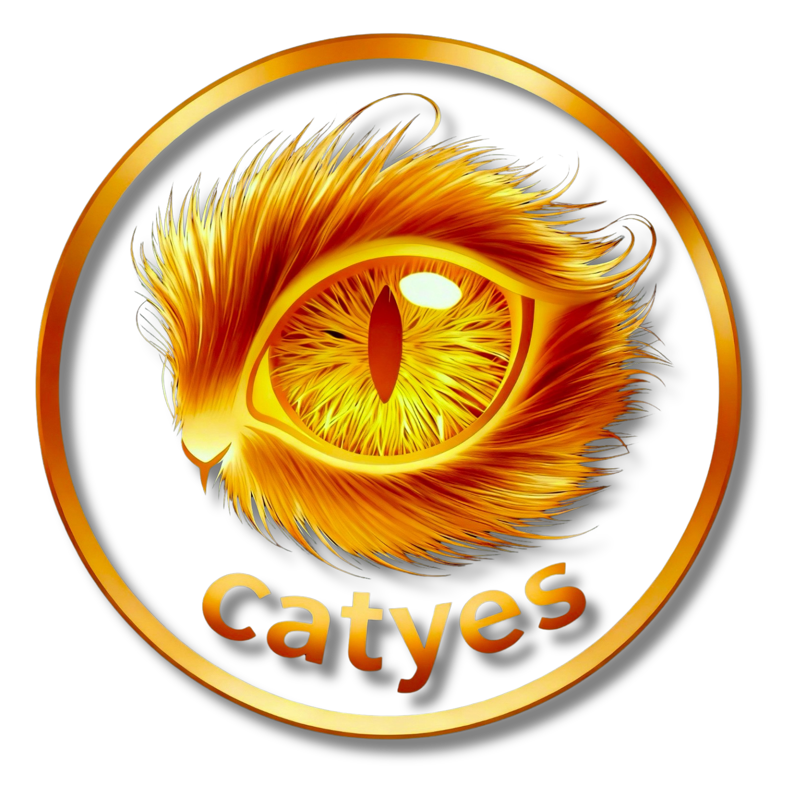 CatEye